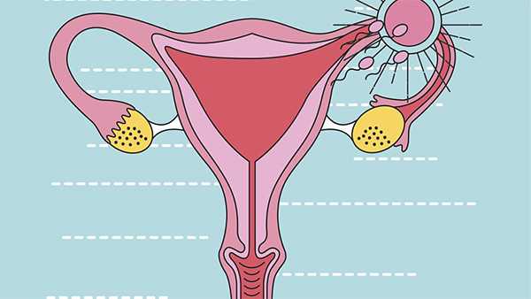 取卵对女性卵巢或身体有什么伤害吗？