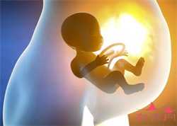 代孕孩子机构_单角子宫孕期有什么注意事项