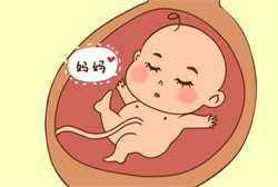 广东代怀孕公司有哪些_辅乳期来月经正常吗