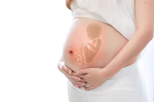 试管婴儿的积极影响_输卵管积水会影响试管婴儿的治疗吗？