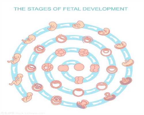 试管婴儿用老公的精子_试管婴儿是用老公的精子吗