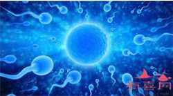 找一个自然代妈_卵巢早衰赴俄罗斯IVF助孕,3个建议助你提高胚胎着床率